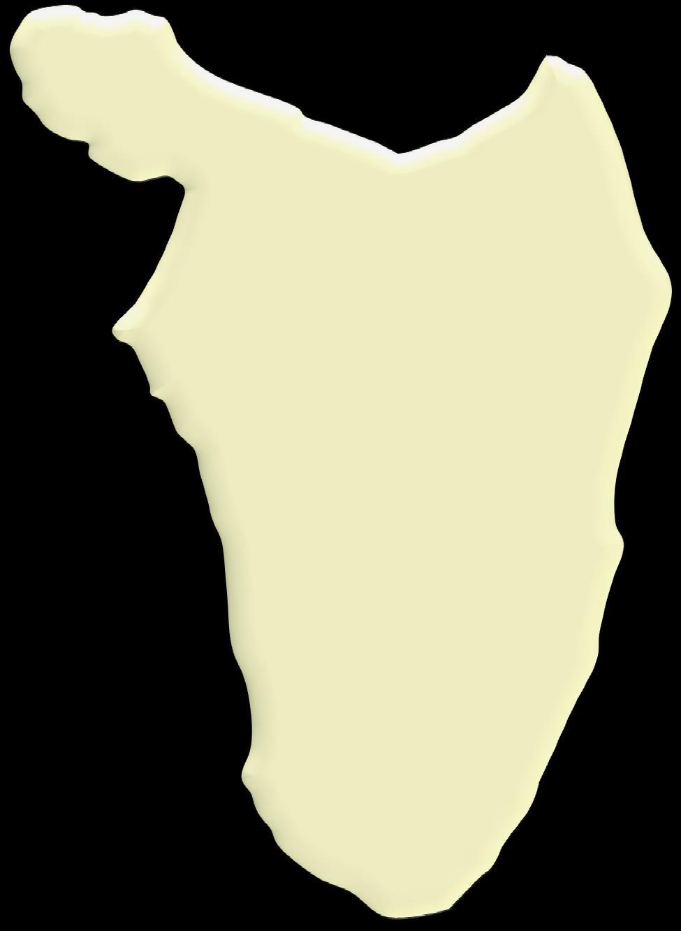Apófisis coracoides Hueso plano, con forma de triángulo