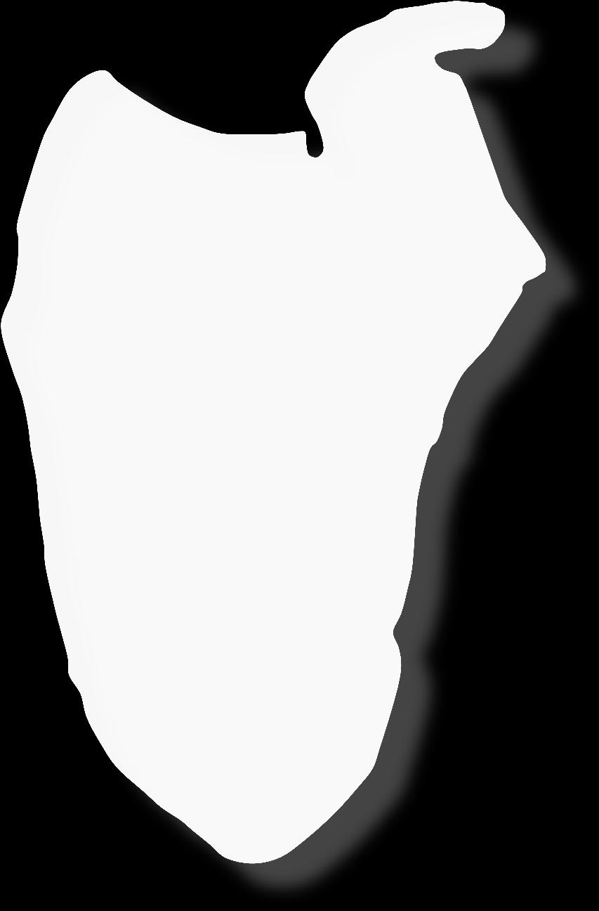 Borde medial (espinal): esta dividido en 3 partes: Labio anterior: Serrato Mayor ó Anterior. Intersticio: Romboides Menor (por arriba) y Romboides Mayor (por debajo del menor).