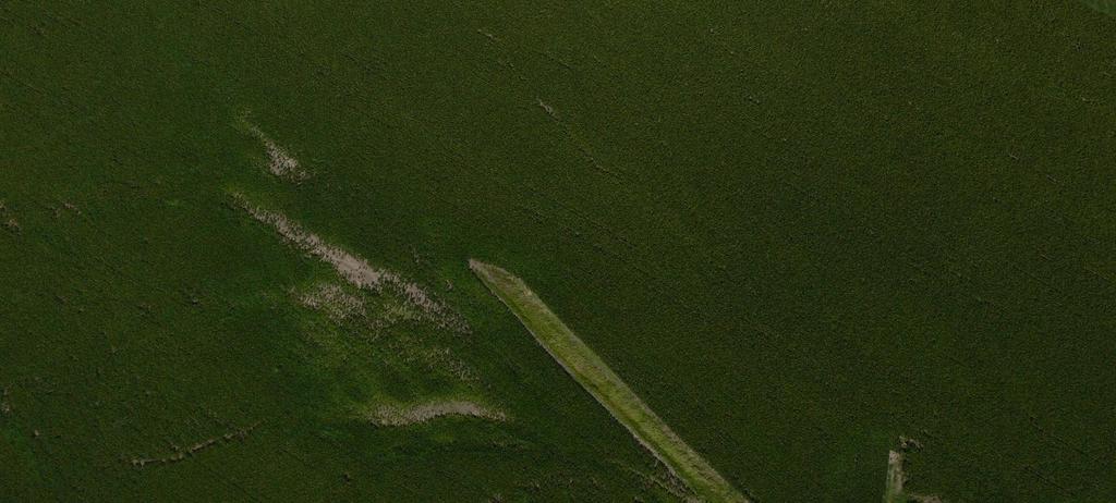 Ejemplo de aplicación: evapotranspiración (E) La imagen mostrada corresponde a una captura realizada en un cultivo de soja en la cuenca del arroyo Laura Leofu