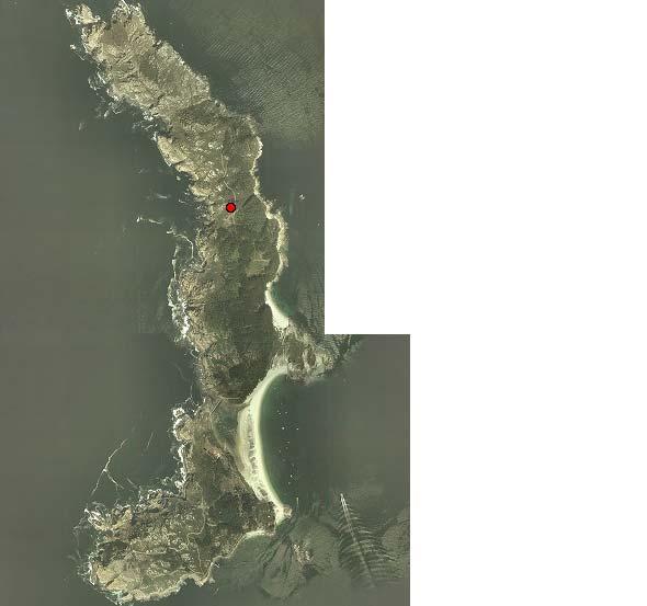 Illa do Monteagudo Capt uras de Ips sexdent at us en t rampa mult iembudo Isla de Cí es - PNMT IAG - 2006 700 600 500 PARQUE NACIONAL M. T.