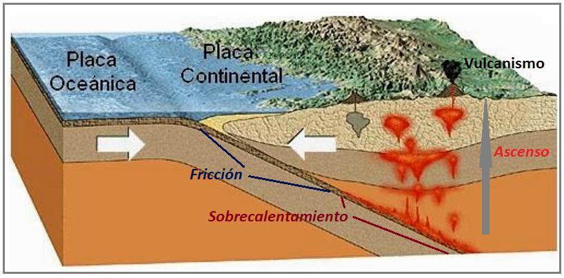 Y esa fricción genera calor. 2. La litosfera oceánica que subduce contiene sedimentos con abundante agua, y el agua rebaja el punto de fusión de las rocas. 3.