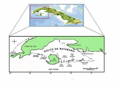 En el caso del Golfo de Batabanó (Fig.