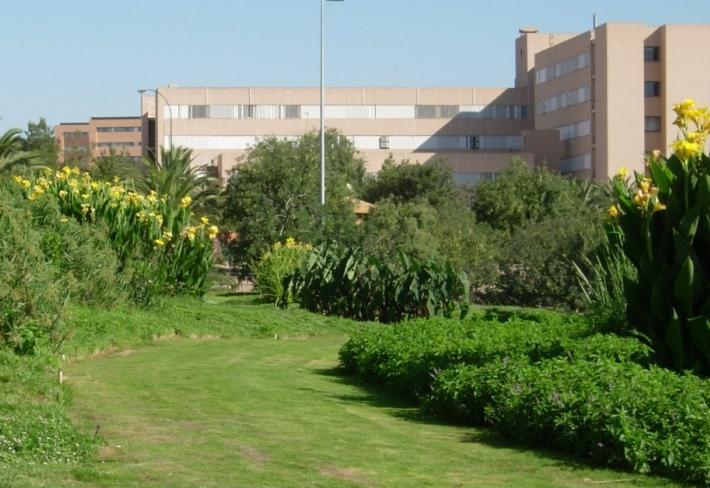 Depuradora de la Universidad de Murcia, construida in situ Vista cubierta depuradora Lateral