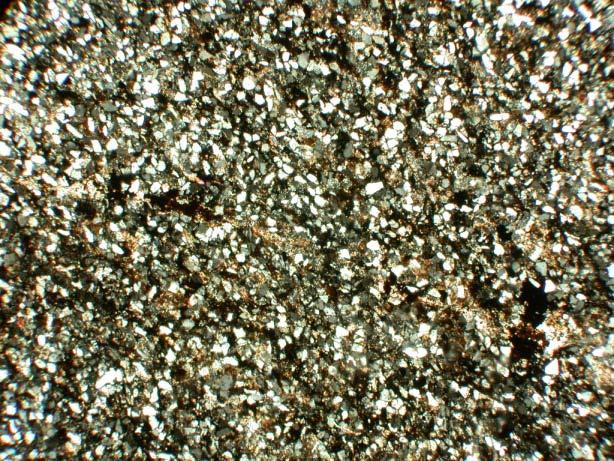 minerales del grupo de feldespato (10 a 15%) potásico y plagioclasa, mostrando éstas