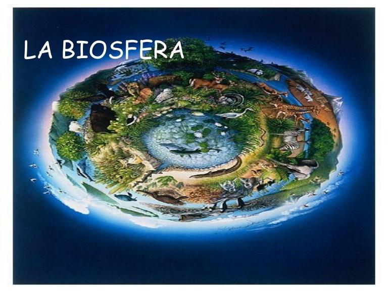 La biosfera es un tipus de espai protegit.