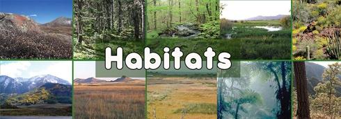 L' HABITAT L'habitat són les condicions ambientals que hi ha lloc de l' eacosistema on habita una espècie.