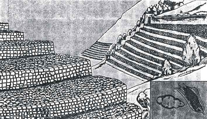Economía incaica En el Imperio de los incas el trabajo era un deber, no se aceptaban ociosos.