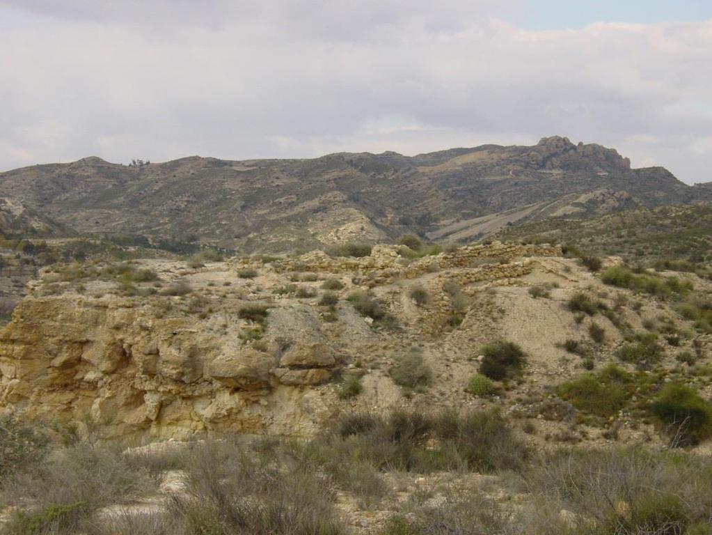 Figura 2. Vista general del asentamiento desde la zona meridional. El yacimiento fue excavado por vez en 1981, efectuándose una campaña dirigida por R.