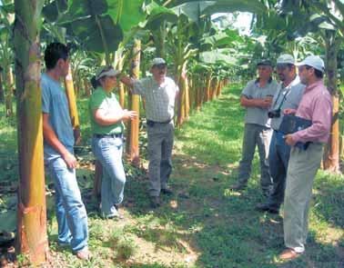 Ing. Jesús Sánchez, Líder del Programa de Cacao y Agroforestería. Tel.
