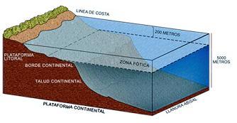 Plataforma continental: Es la superficie del fondo submarino cercano a la costa, comprendido entre el litoral y las profundidades que