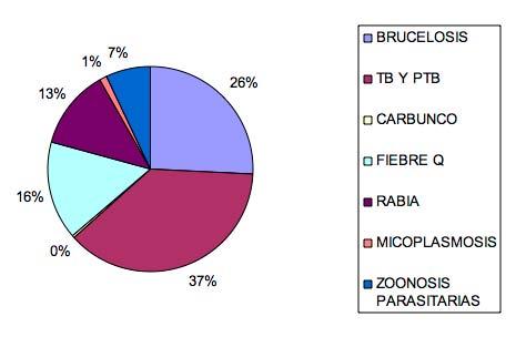 BRUCELOSIS 1.213 26% TB Y PTB 1.