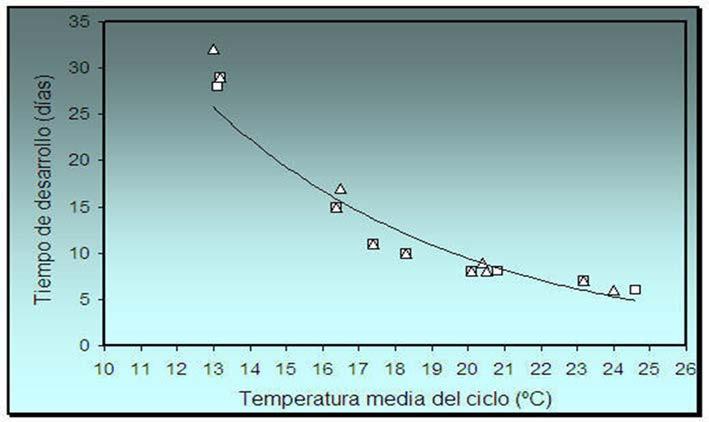 Algunas consecuencias del cambio climático Cambios en tasas de fotosíntesis, respiración, germinación, crecimiento, reproducción Cambios en la duración de los ciclos de vida % GERMINACIÓN