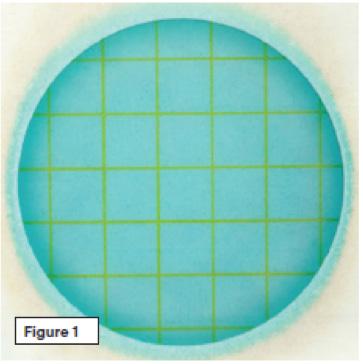 Placa para recuento de Bacterias Ácido Lácticas 3M Petrifilm 1 2 Figura 1 Recuento total de Bacterias Ácido Lácticas = 0 Placas para recuento de Bacterias Ácido