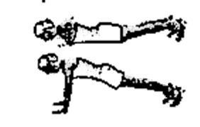 Desde ahí, se hace una flexión de codos normal y en el momento final del movimiento las caderas bajan para elevar el pecho hacia delante, la vuelta a la posición inicial se realiza