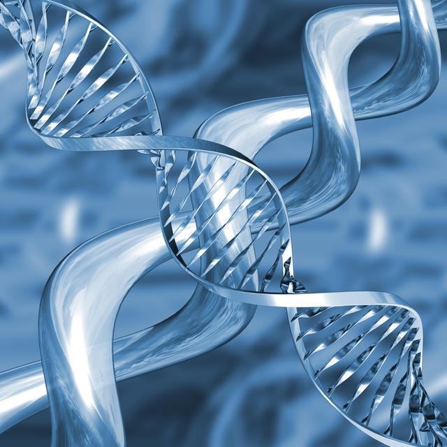 El ADN: molécula que conforma a los cromosomas y es responsable de la herencia 1869
