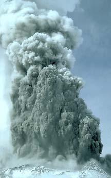 Tipos de erupciones Por