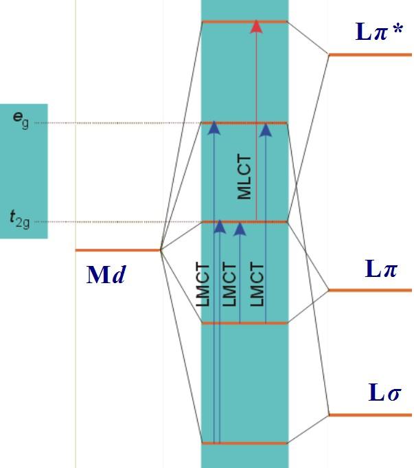 Bandas de transferencia de carga (CT): algunas bandas tienen intensidades mucho mayores que las correspondientes a las transiciones d-d del campo de los ligandos y que presentan solvatocromismo.
