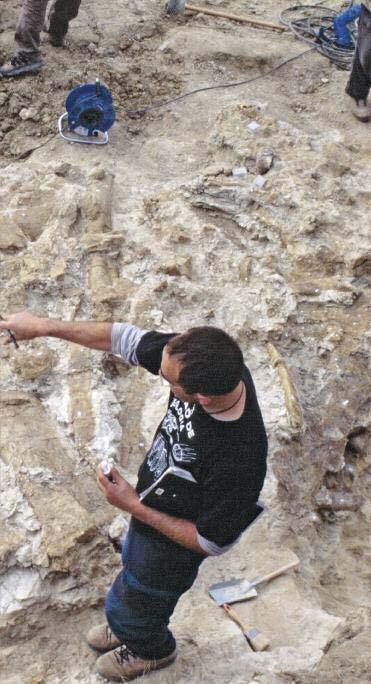 Los paleontólogos han dibujado la posición de cada hueso que han encontrado.