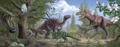 En el transcurso de los años, la mayoría de especies, entre las cuales los dinosaurios, desaparecieron,
