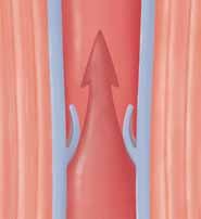 Cómo funcionan las venas de las piernas La sangre fluye a través de un sistema de vasos sanguíneos, llamados venas y arterias.