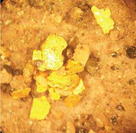 algunas partículas de oro libre laminares que presentan características flotabilidad natural. Por esta razón Mineros S.A.