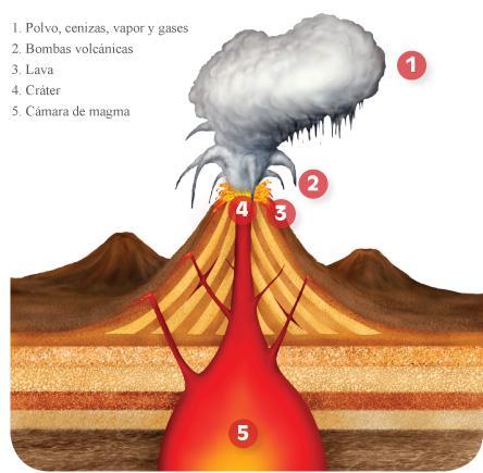 2. LOS RIESGOS NATURALES LAS ERUPCIONES VOLCÁNICAS Un volcán es un conducto que comunica directamente la parte superior de la corteza sólida de la Tierra con los niveles inferiores de la misma.