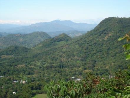 Oportunidad de reducir Huella de CO 2 en El Salvador: Proyecto Humedal del Cerrón Grande Iniciativa conjunta entre MARN, FIAES y GIZ Área del proyecto: 30 mil Hectáreas Población estimada: 35 mil