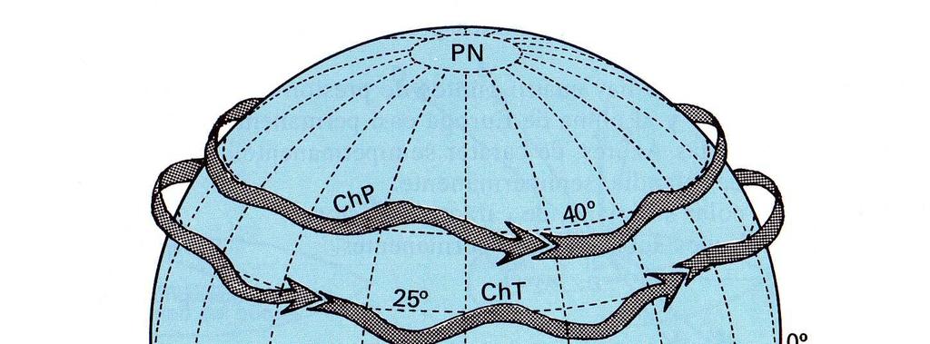 CORRIENTE EN CHORRO: Son corrientes de aire frío que circulan en los 40º N, 25º N, 40º S y 25º S (Cuatro corrientes en chorro). Circulan de w a e a altas velocidades por la tropopausa.