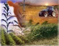 Agroecosistema Es un sistema creado por el hombre, producto de la