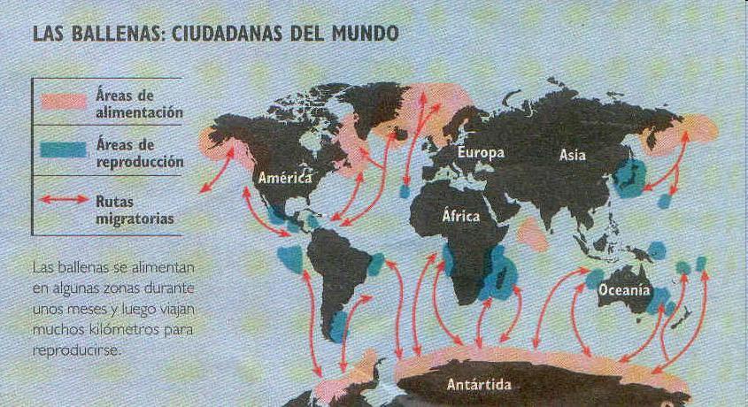 Distribución geográfica roya de la soja en Argentina