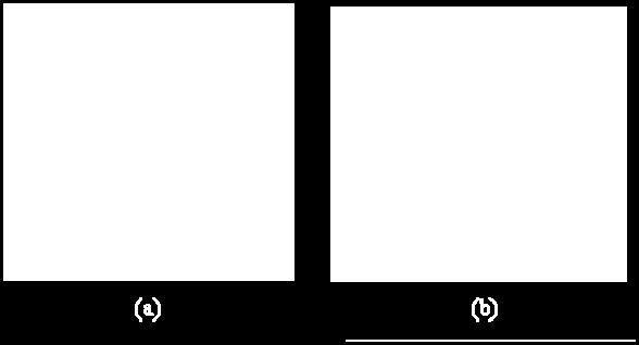 Los putos d quilibrio d u sistma o lial rcib l mismo ombr dl caso lial (odo, foco, silla). U puto d quilibrio (PE) s aislado si al lializar, A 0.