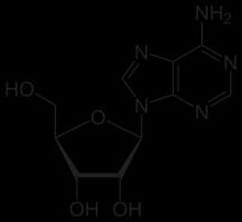 Monofosfato cíclico de