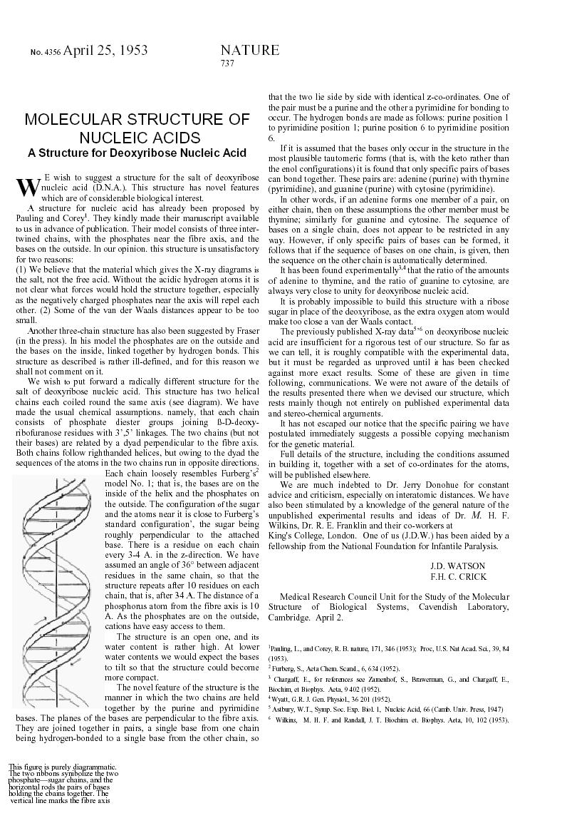 Artículo original de Watson y Crick