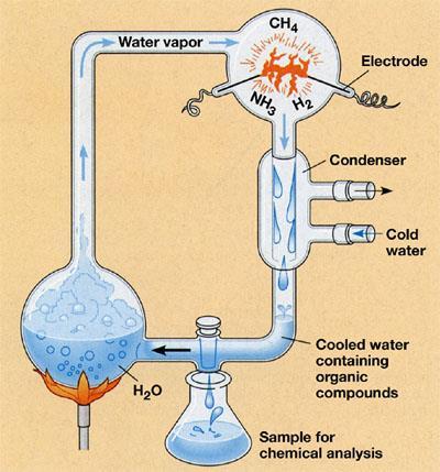Síntesis de compuestos orgánicos Stanley Miller mezcló gases que se sabe abundaban en la atmósfera de la tierra