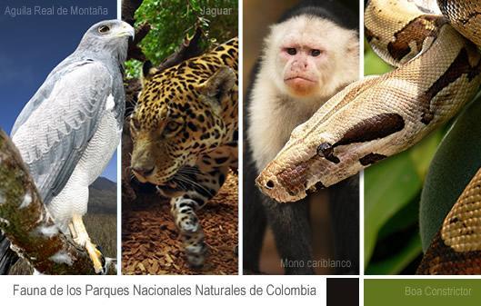 Las áreas protegidas en COLOMBIA Extensión de mas de 12 millones de has.
