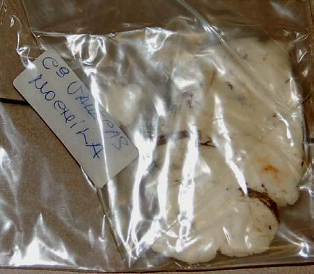M-4-2 Sustancia blanquecina pastosa dentro de una bolsa etiquetada Cª VALLECAS MOCHILA, contenida en una bolsa etiquetada 52,826 g / Nº 4 Duplicado, con un peso bruto de 41,6 g, situada a su vez en
