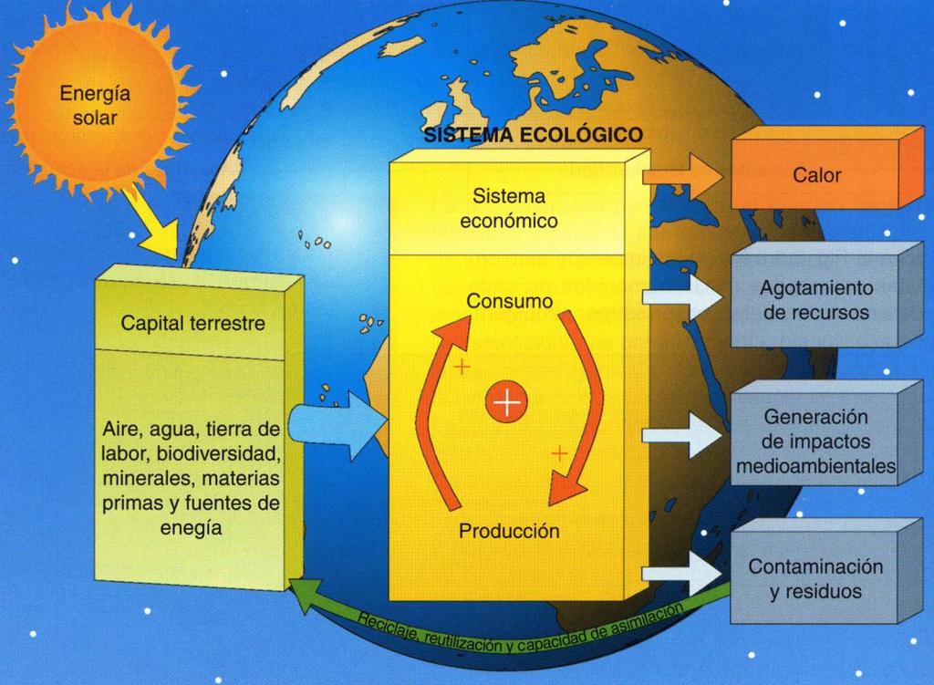FUNCIONES ECONÓMICAS DE LOS SISTEMAS NATURALES La economía depende en gran medida de los recursos naturales: energía solar y capital terrestre.