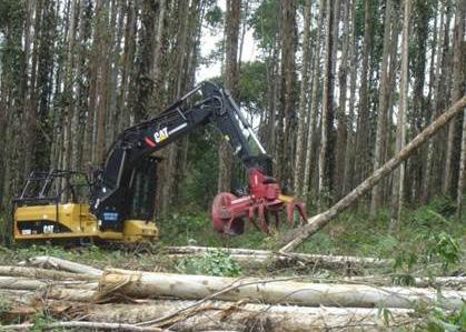 mantenimiento, administración de las fincas, actualización y registro de las plantaciones forestales ante el Instituto Colombiano