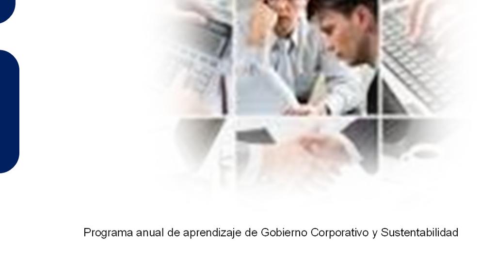 3 Componentes Modelo de Gobierno Corporativo Estructura de gobierno específico para la compañía Reglas de Operación La Empresa Perfiles de
