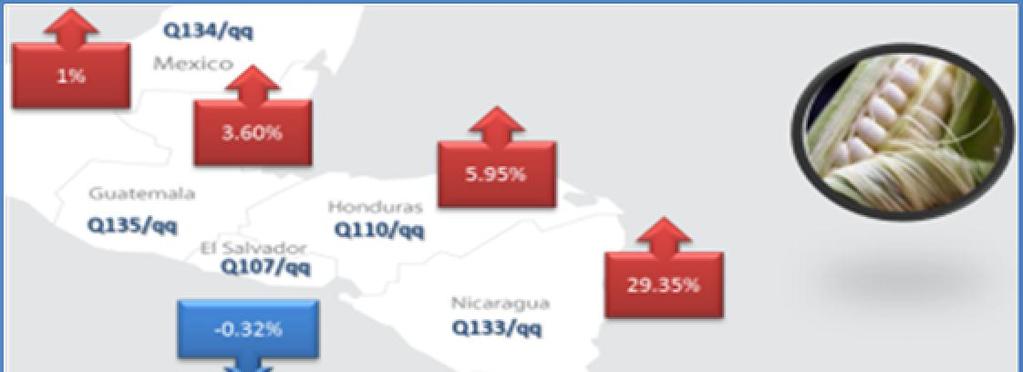 FIGURA 8 d) Precios centroamericanos Maíz Durante el mes de mayo, con excepción de Costa Rica, Guatemala continuó presentando el precio más elevado de maíz blanco; mientras que en El Salvador se
