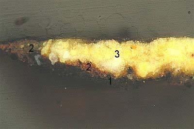 3.- Resultados AUT-1: Amarillo de la filigrana en la empuñadura de la espada Capa Color Espesor Pigmentos Aglutinantes Nº (µ) 1 negro 15 negro de manganeso (óxido de aceite de linaza manganeso),