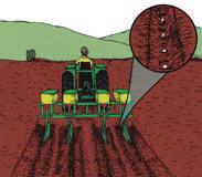 Si la siembra es mecanizada, se debe calibrar la sembradora a distancias de 0.90 o 0.80 m entre hileras por 0.20 m entre plantas.
