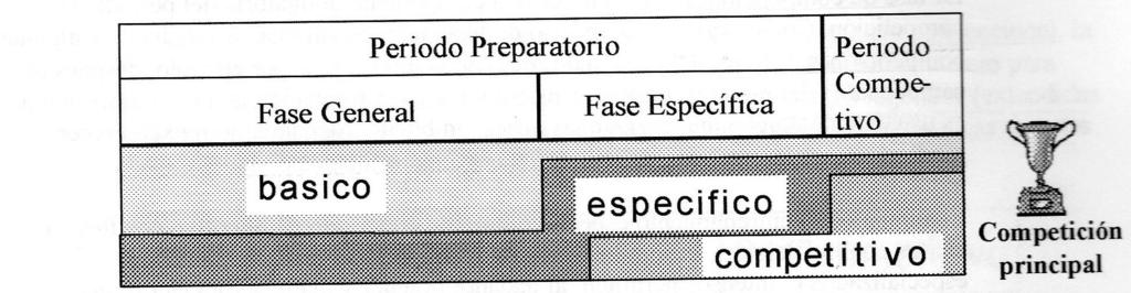 PERÍODO PREPARATORIO: FORMACIÓN DE CONDICIONES BÁSICAS PARA LA PREPARACIÓN POSTERIOR, MÁS ESPECIALIZADA Y CONCENTRADA.