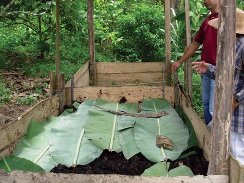 Preparación de compost con restos de cosecha: la mayoría de los productores de cacao desperdician los restos de la cosecha (conchas, semillas vanas, entre otros) y los dejan arrumados en una parte de