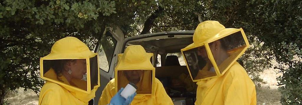 Higiene (1) Llevar un traje (equipo) de apicultor
