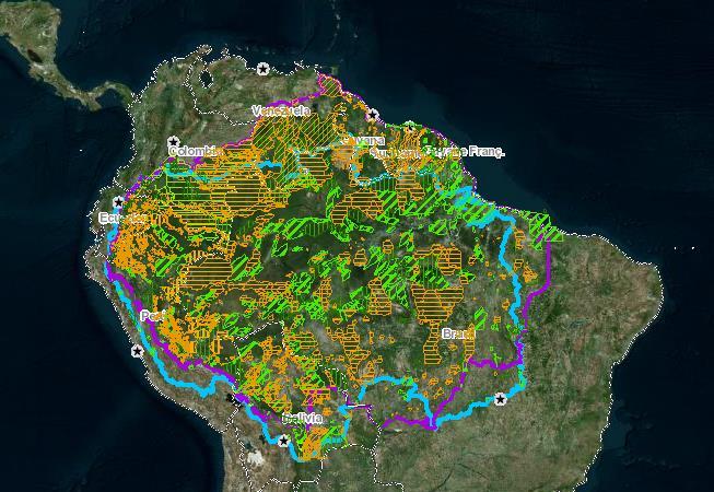 MAGNITUD DE LA ACCIÓN COLECTIVA 385 pueblos indígenas que habitan la Amazonía
