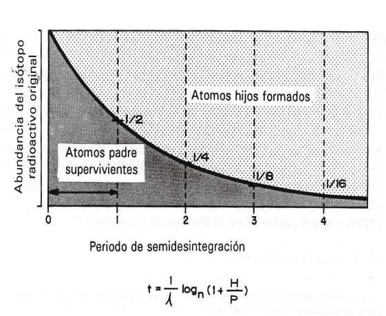 Se llama periodo de semidesintegración o vida media de un elemento radiactivo al tiempo necesario para que su concentración inicial se reduzca a la mitad Las variaciones en los contenidos de isótopos