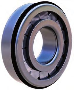 6.1 Standard cylindrical bearings / Rodamientos cilíndricos estándar Type / Tipo A C DIMENSIONS / DIMENSIONES d D C REFERENCES REFERENCIAS WEIGHT / PESOS mm inch mm inch mm inch mm inch kg lb 60,000