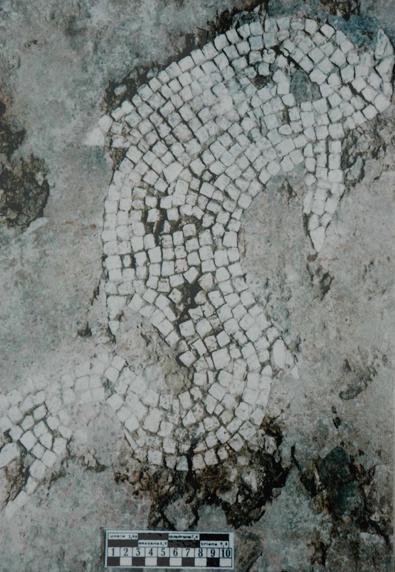 Detalle de mosaico Augusteo, Thermae del Cerro de la Coja.