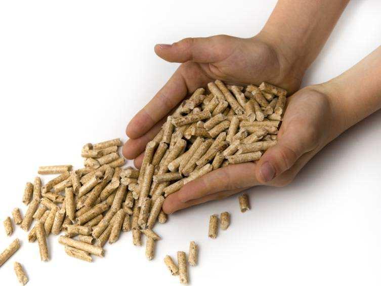 Què és la biomassa?